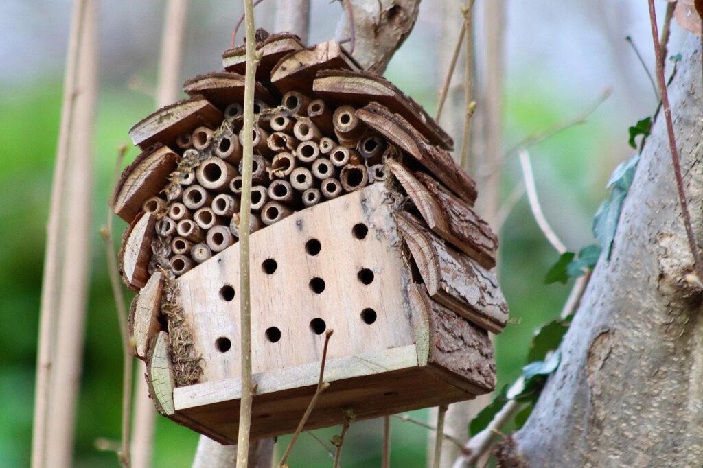 insect hotel, bee hotel, insect repellent-7753737.jpg