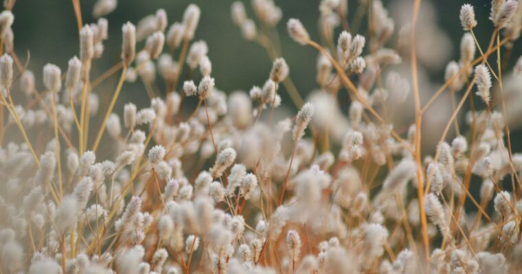 Natural Fabrics: The Real Luxury!