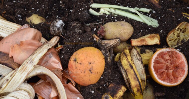 Fertilizing Freedom